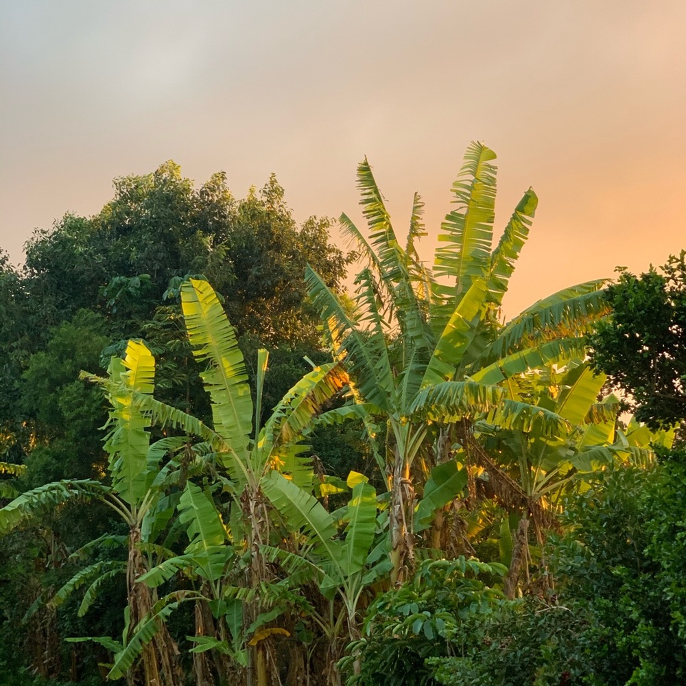 Meet your Posher, Kai